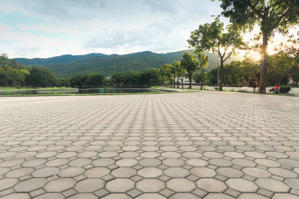 Best Local Driveway Pavers  in Pinedale, WY